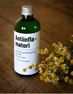 Botig Antiinflamatori Camamilla 100 Ml
