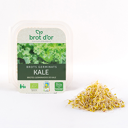 Germinat Kale ECO