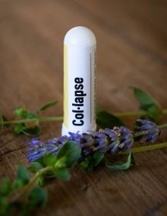 Inhalador Col-Lapse 50 Ml ECO