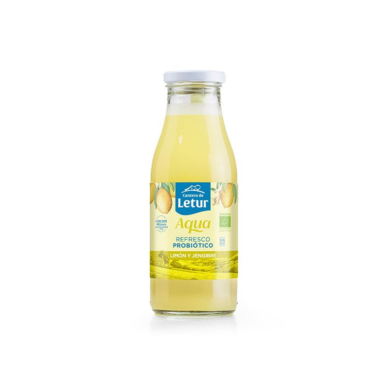 Kefir Aigua Llimona i Gengibre 500 Ml ECO