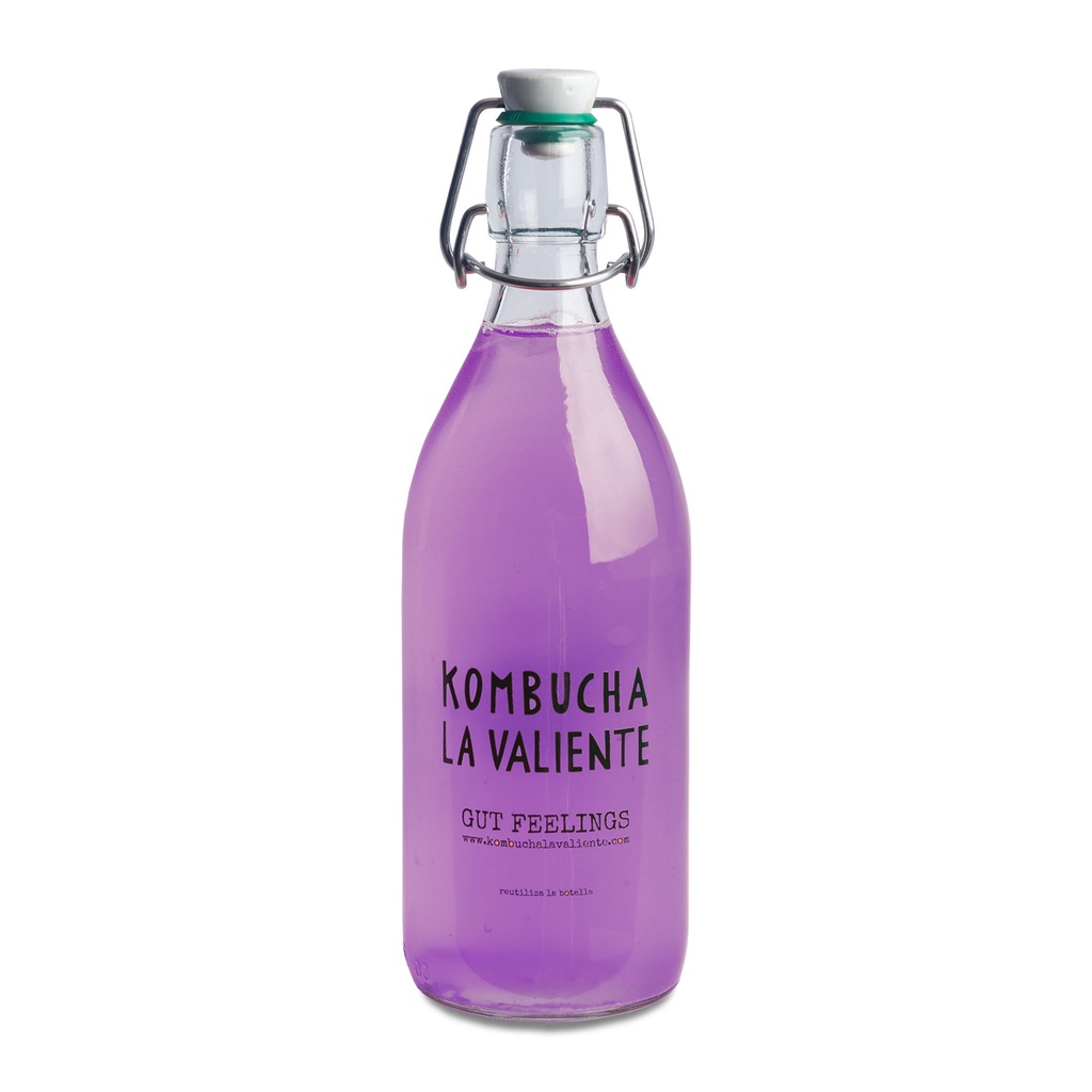 Kombucha Maracuyà i Clitoria 1L ECO
