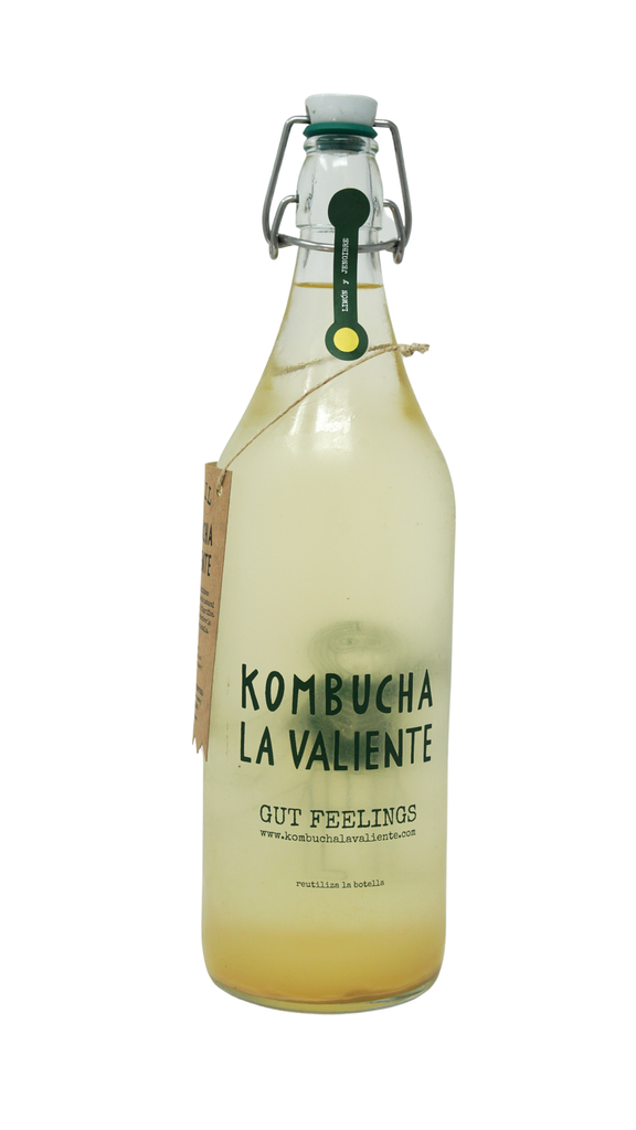 Kombucha Taraonja Pastanaga 1L ECO