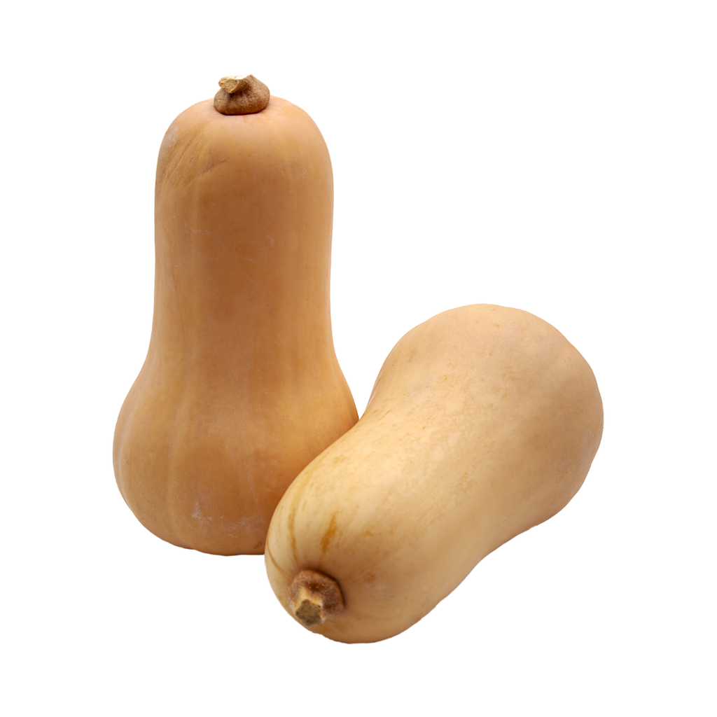 Carbassa Violí ECO