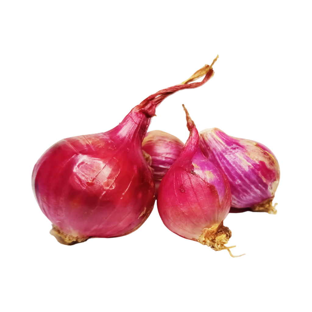 Ceba Tendra Morada ECO