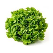 Enciam Roure Verd Unitats ECO