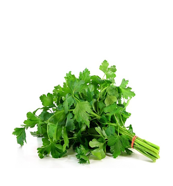 Julivert Manat ECO 