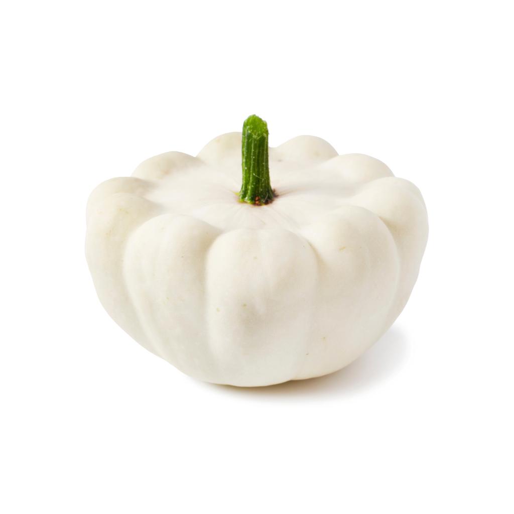 Patisson Blanc ECO