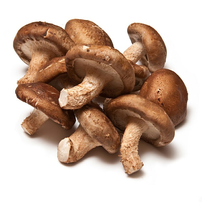 Shitake ECO