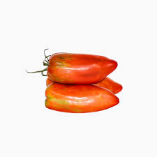 Tomàquet  Bitxo ECO