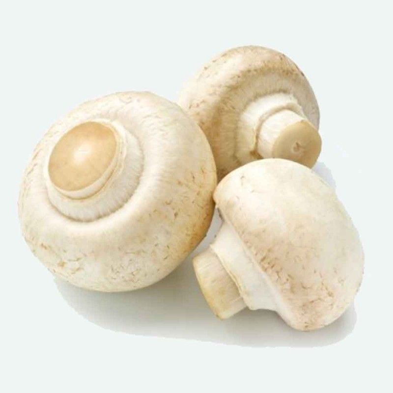 Xampinyons Blanc ECO