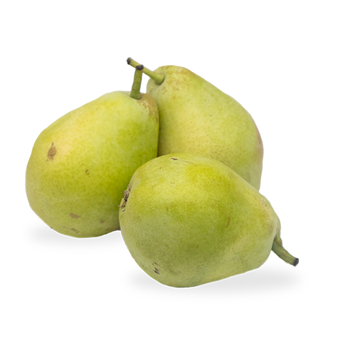 Pera Etrusca