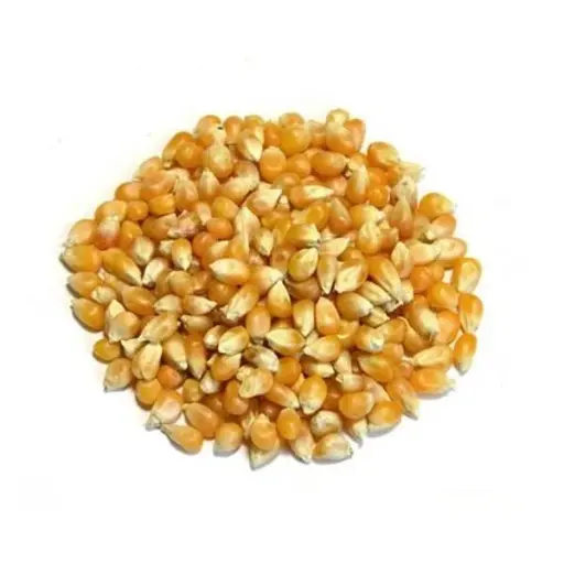 [PR/01590] Blat Per Crispetes ECO