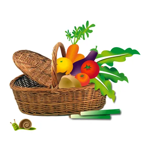 [PR/02037] Cistella Petita ECO