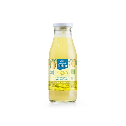 [BOT/01983] Kefir Aigua Llimona i Gengibre 500 Ml ECO
