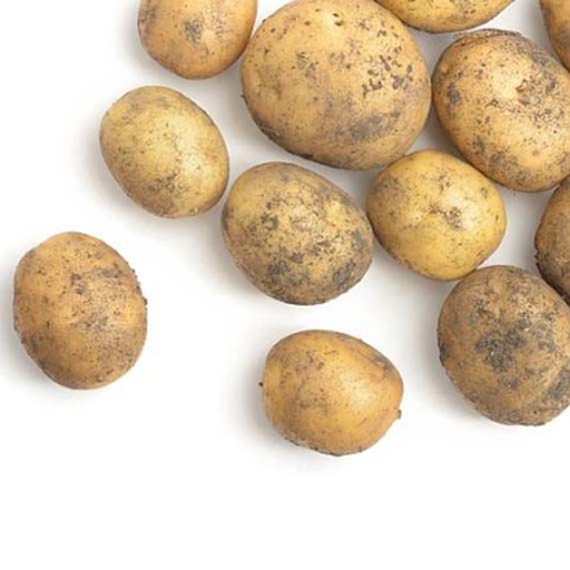 [05038] Patata Ull De Perdiu ECO